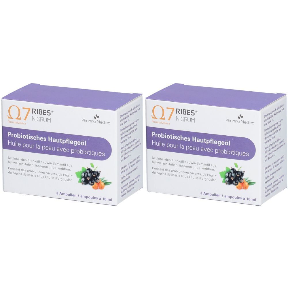 Ribes Nigrum Huile probiotique pour soins de la peau Amp