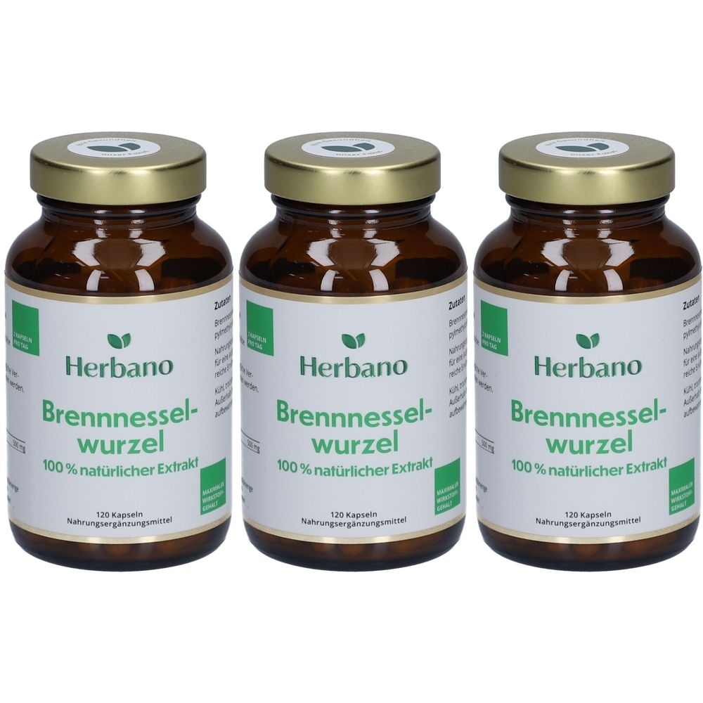 Drei braune Glasflaschen mit goldenen Deckeln. Auf den Etiketten steht "Herbano Brennnesselwurzel 100% natürlicher Extrakt".