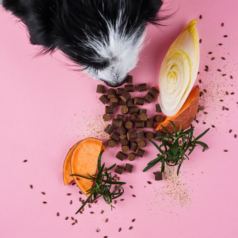 Hundefutter-Drops auf rosa Untergrund. Mit Süßkartoffel, Chicorée und Rosmarin. Ein Hund ist im Bild.