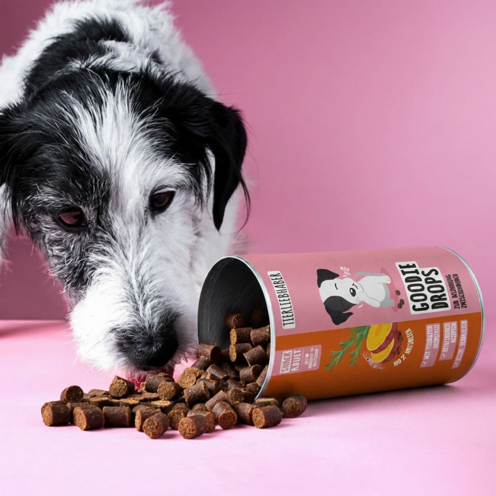 Hundefutter-Drops aus einer Dose. Dose mit Aufschrift Goodie Drops und Tierliebhaber. Ein Hund ist im Bild.