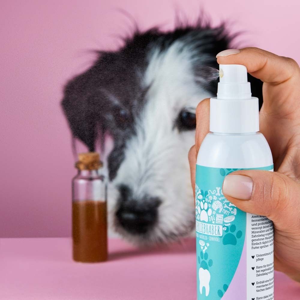 Hand sprüht Zahn-Spray auf. Hund im Hintergrund. Rosa Hintergrund. Aufschrift: DENTALSpray.