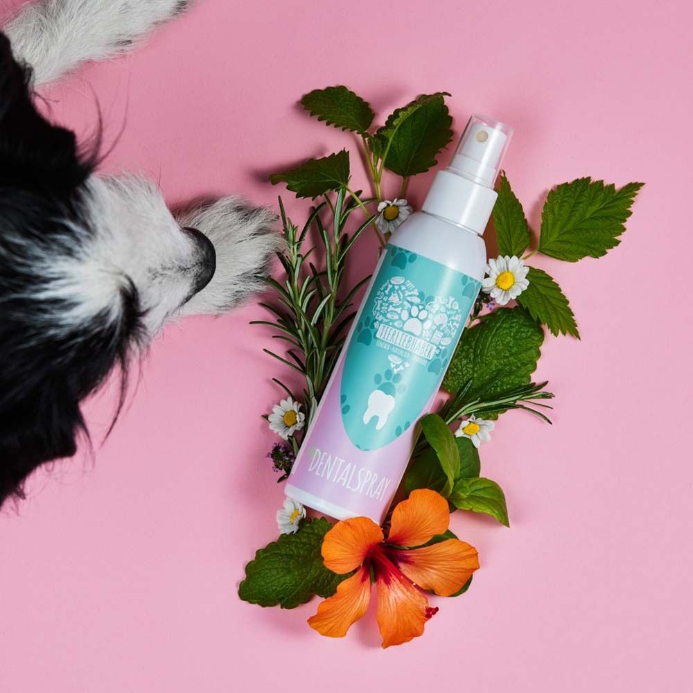 Zahn-Spray-Flasche, Hund, Blumen. Rosa Hintergrund. Aufschrift: DENTALSpray.