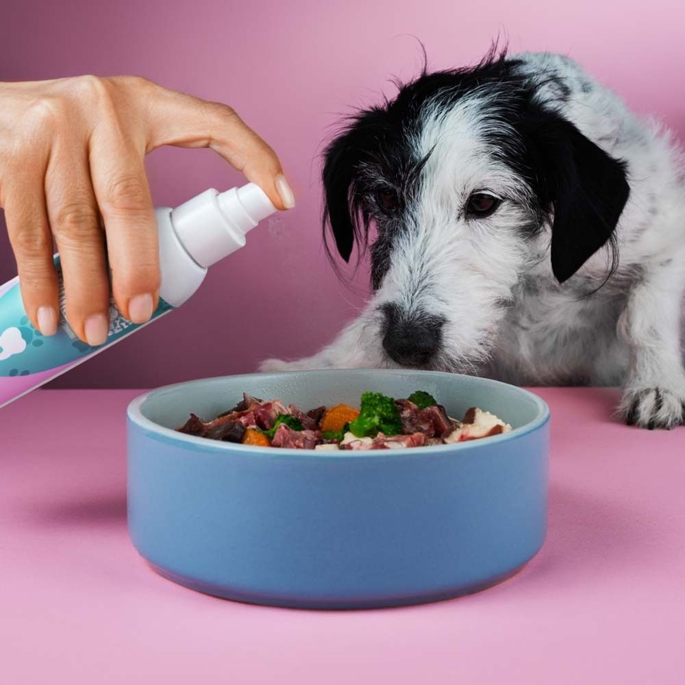 Hand sprüht Zahn-Spray auf. Hund, Futternapf. Rosa Hintergrund.
