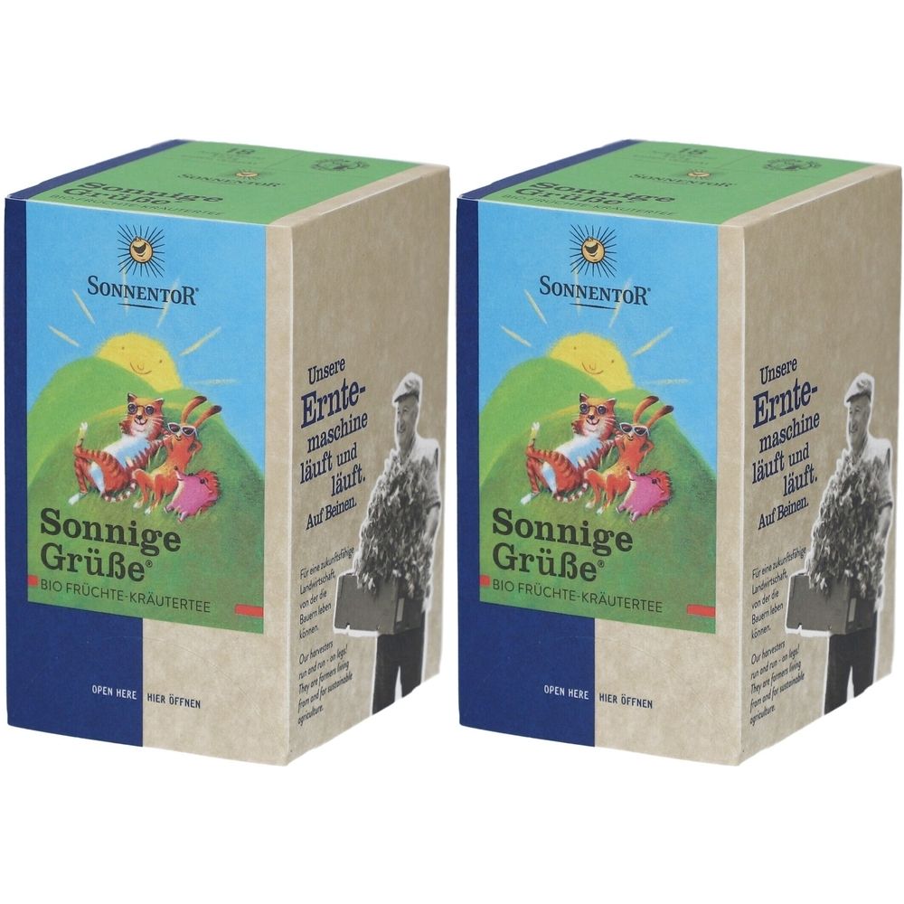 Sonnentor Infusion Fruits & Plantes Bio Sonnige Grüße