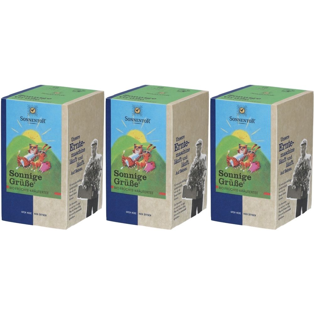 Sonnentor Infusion Fruits & Plantes Bio Sonnige Grüße