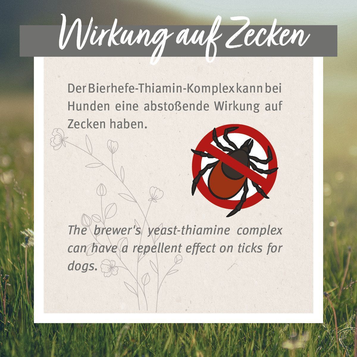 Abbildung eines Hundes mit einem roten Kreis und einem durchgestrichenen Zeckensymbol. Text: "Wirkung auf Zecken".