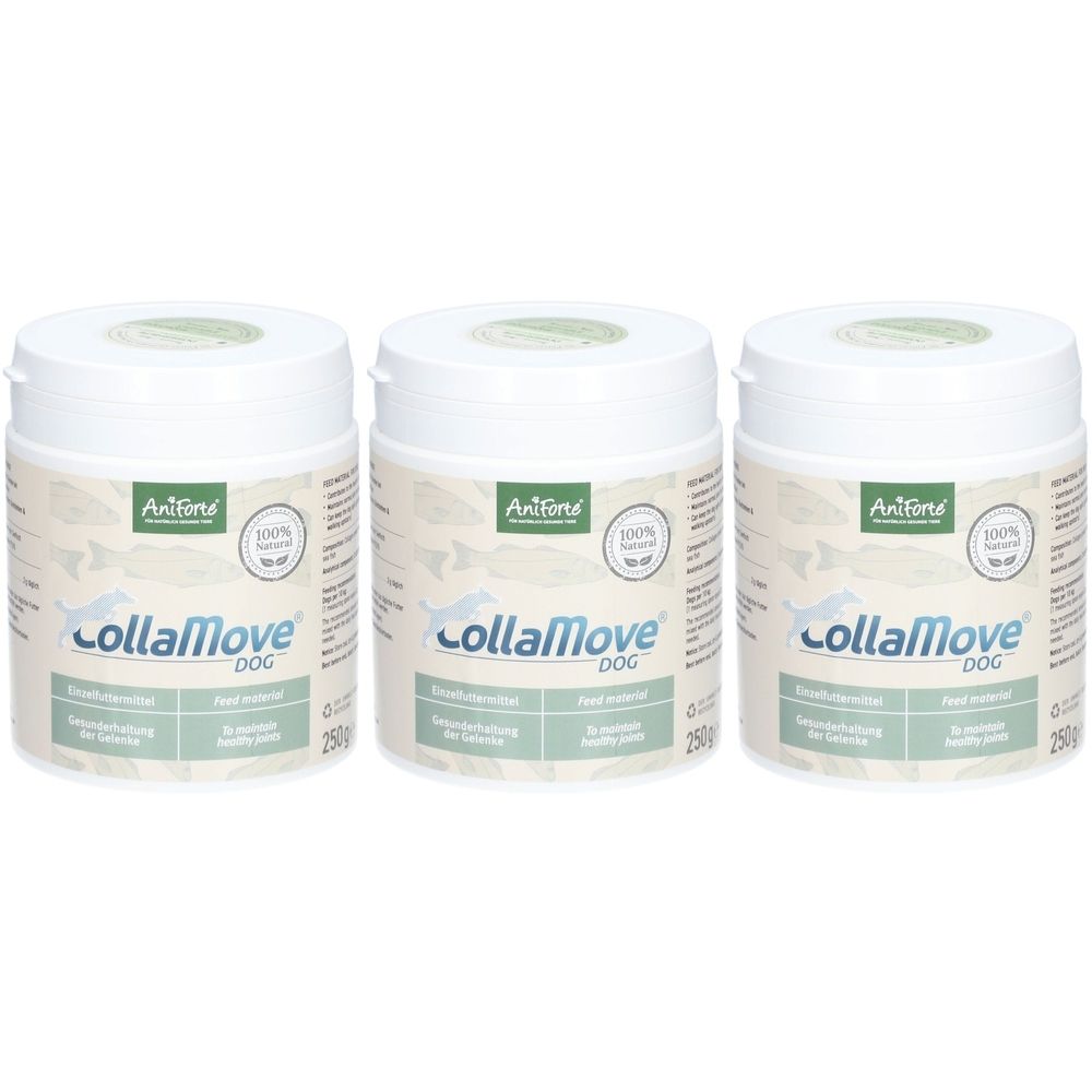 Drei weiße Dosen ANIFORTE Collamove DOG. Aufschrift Collamove DOG, 100% natürlich, 250g. Grün-weiße Etiketten.