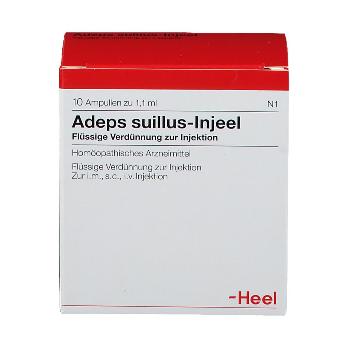 Adeps suillus-Injeel® Ampullen