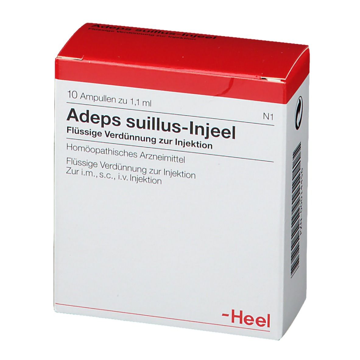 Adeps suillus-Injeel® Ampullen