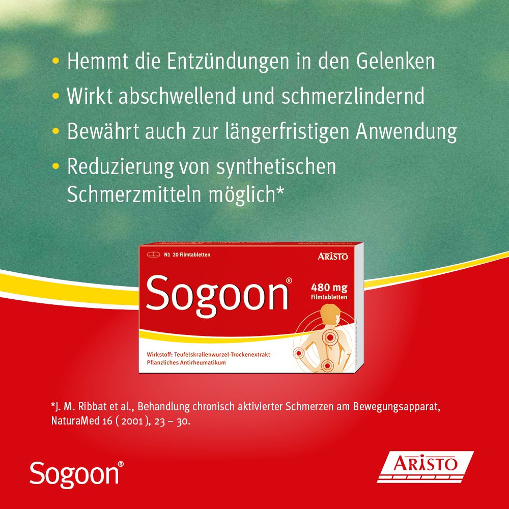 Sogoon®  480 mg