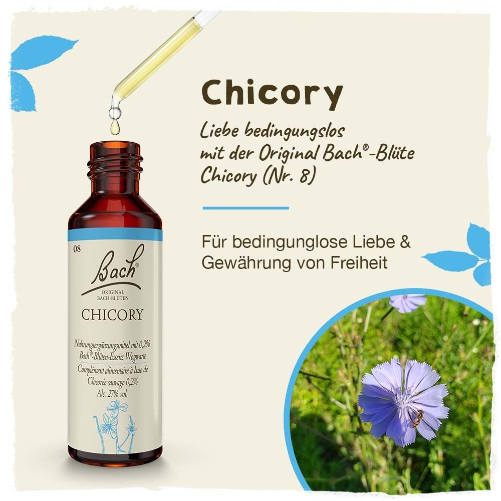 BACH®-BLÜTE CHICORY (Wegwarte)