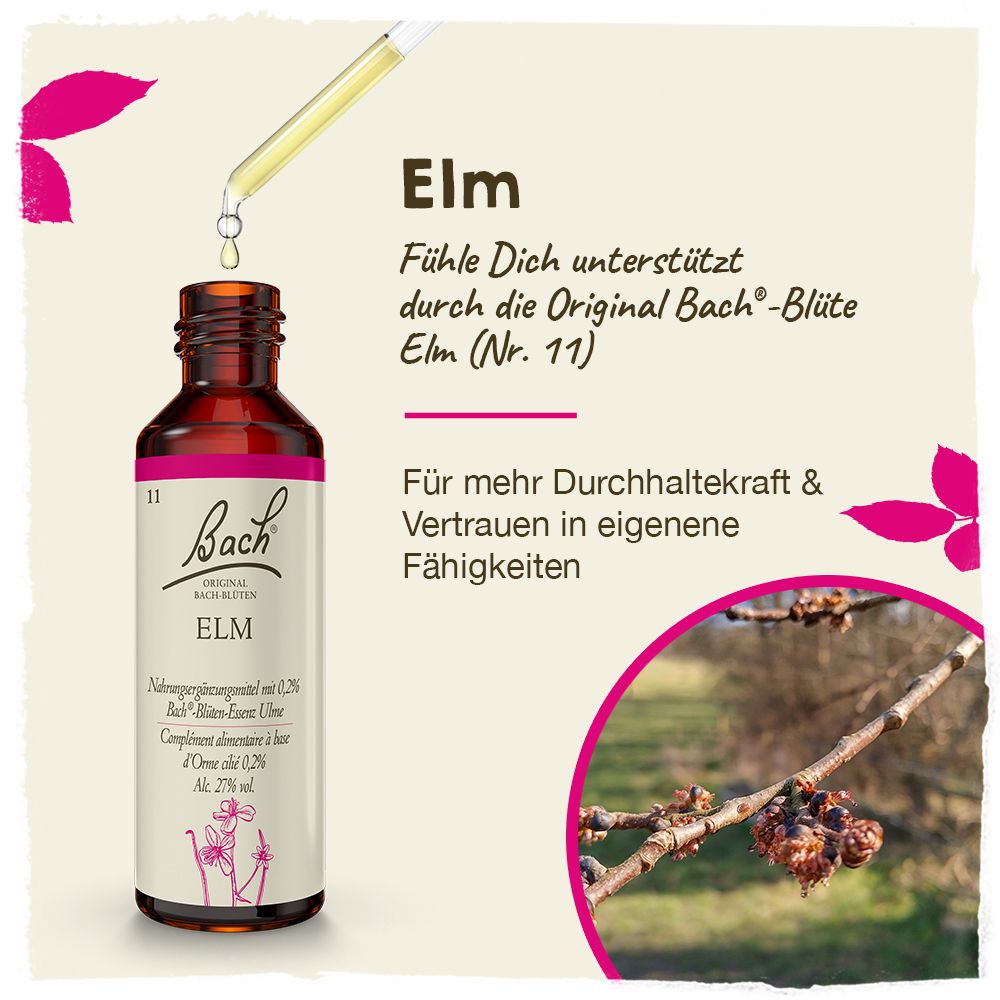 Bachblüten Elm Tropfen 20 ml