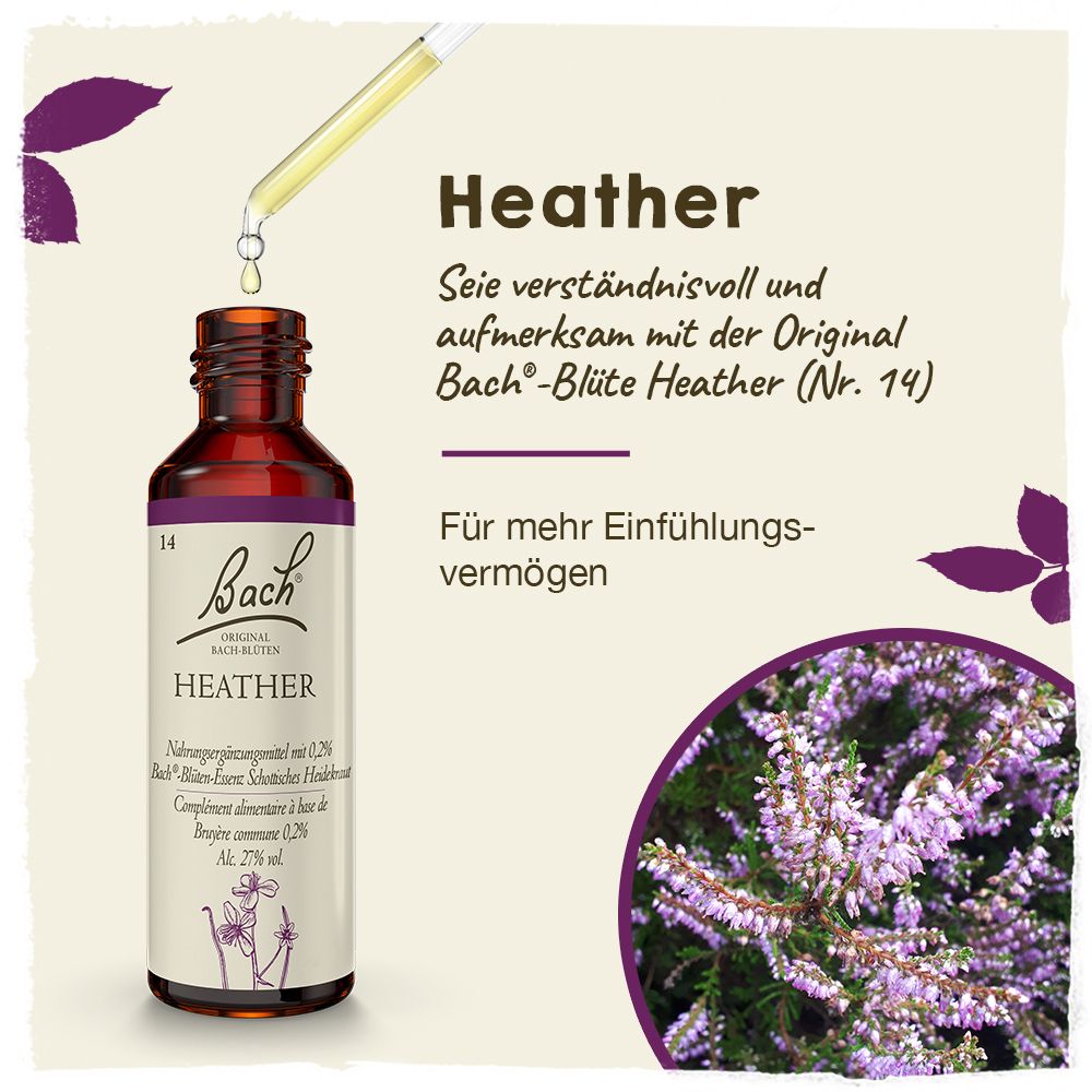 BACH®-BLÜTE HEATHER (Schottisches Heidekraut)