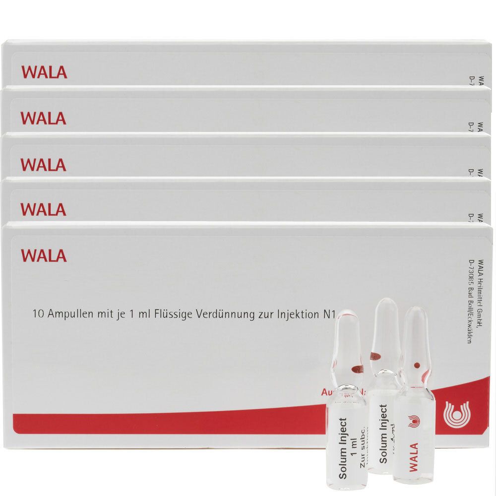 WALA-Verpackung mit Ampullen. Aufschrift: 10 Ampullen mit je 1 ml flüssige Verdünnung zur Injektion N1.  Dazu 3 Ampullen.