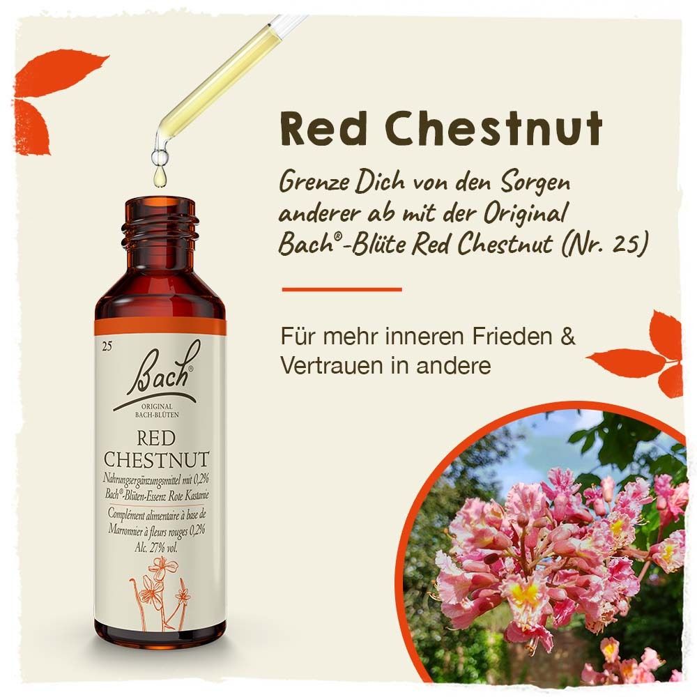 BACH®-BLÜTE RED CHESTNUT (Rote Kastanie)