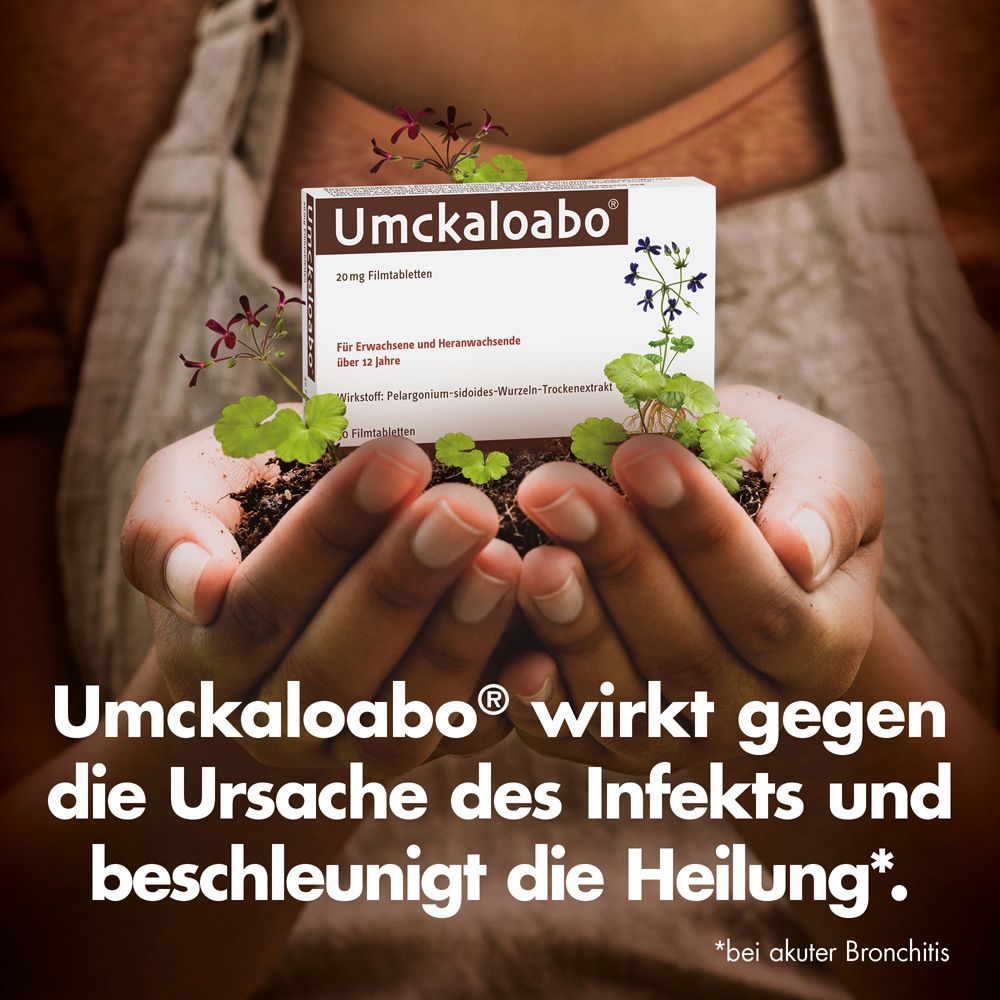 Umckaloabo® 20 mg Filmtabletten