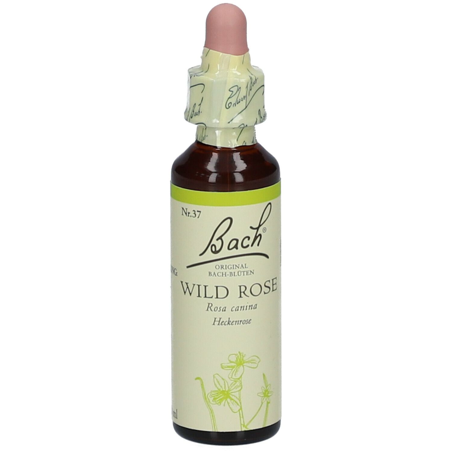 BACH®-BLÜTE WILD ROSE (Heckenrose)