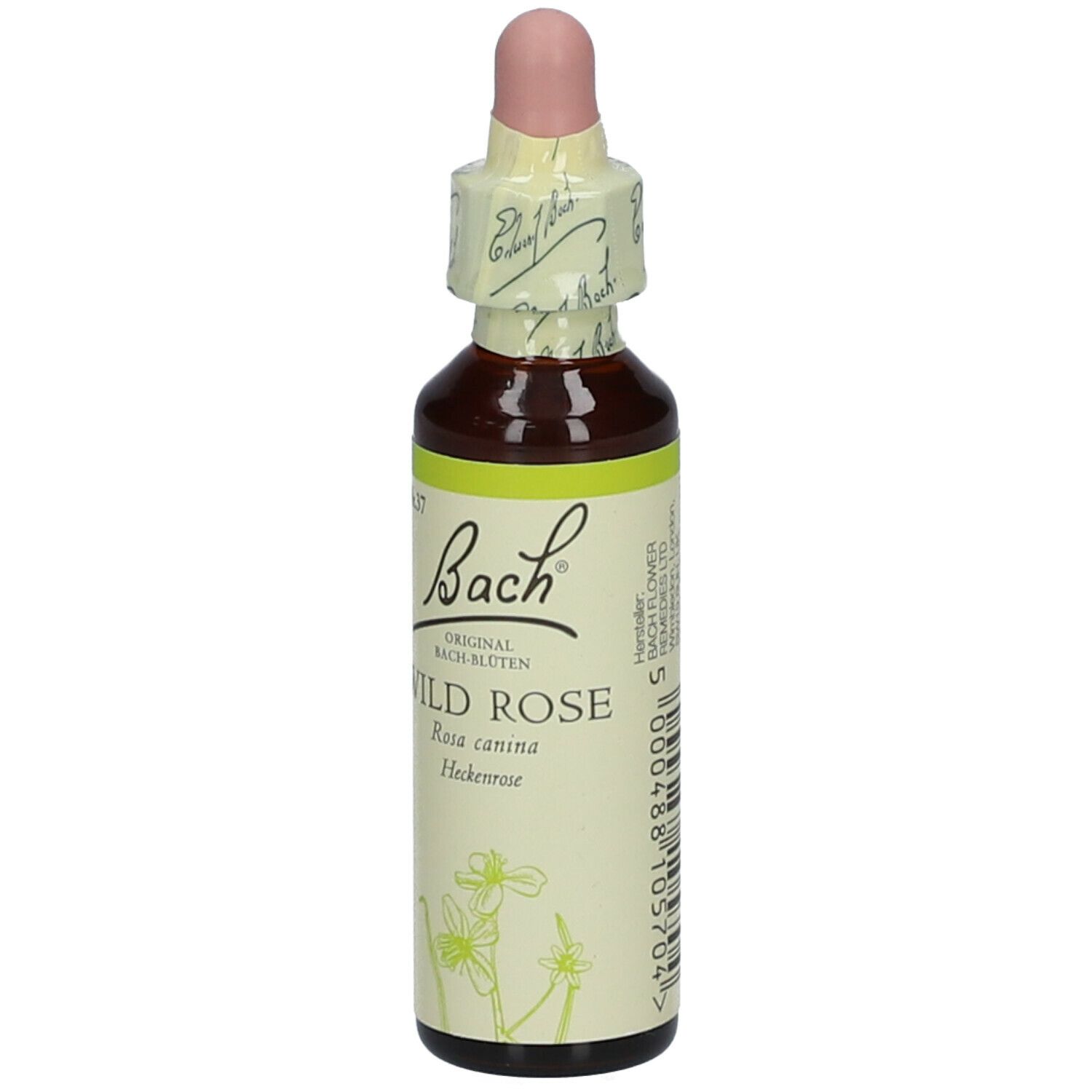 BACH®-BLÜTE WILD ROSE (Rose sauvage)