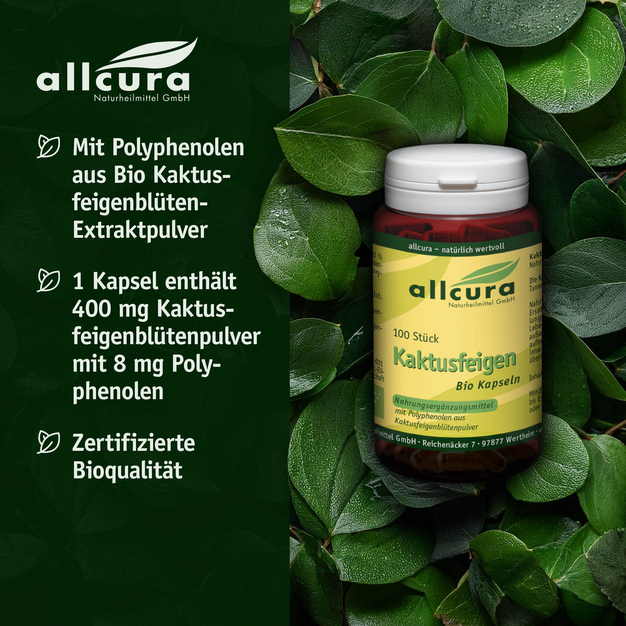 Kapsel-Dose mit Blättern im Hintergrund. Text: allcura, Kaktusfeigen Kapseln, Bioqualität, Polyphenole.