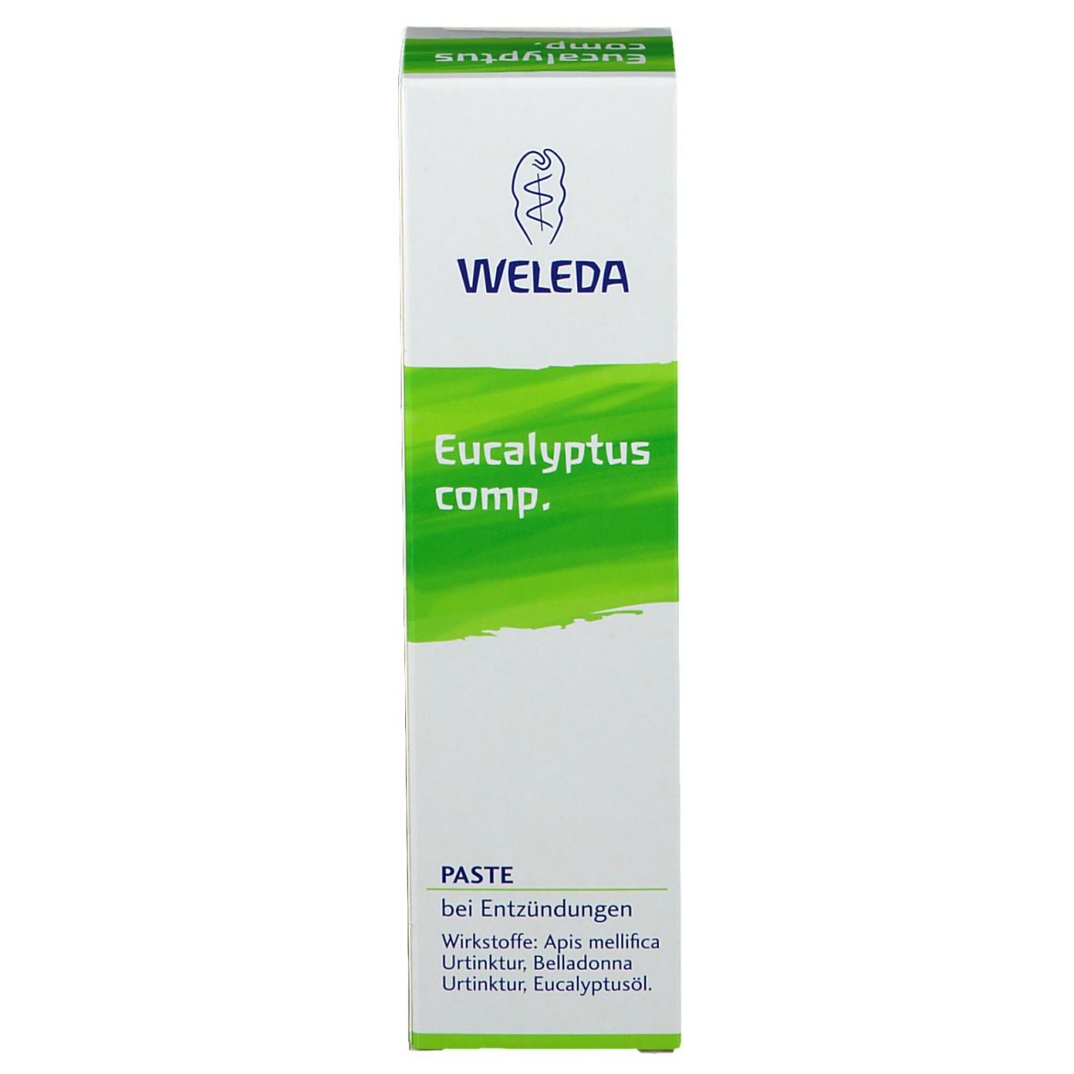 Eucalyptus comp.