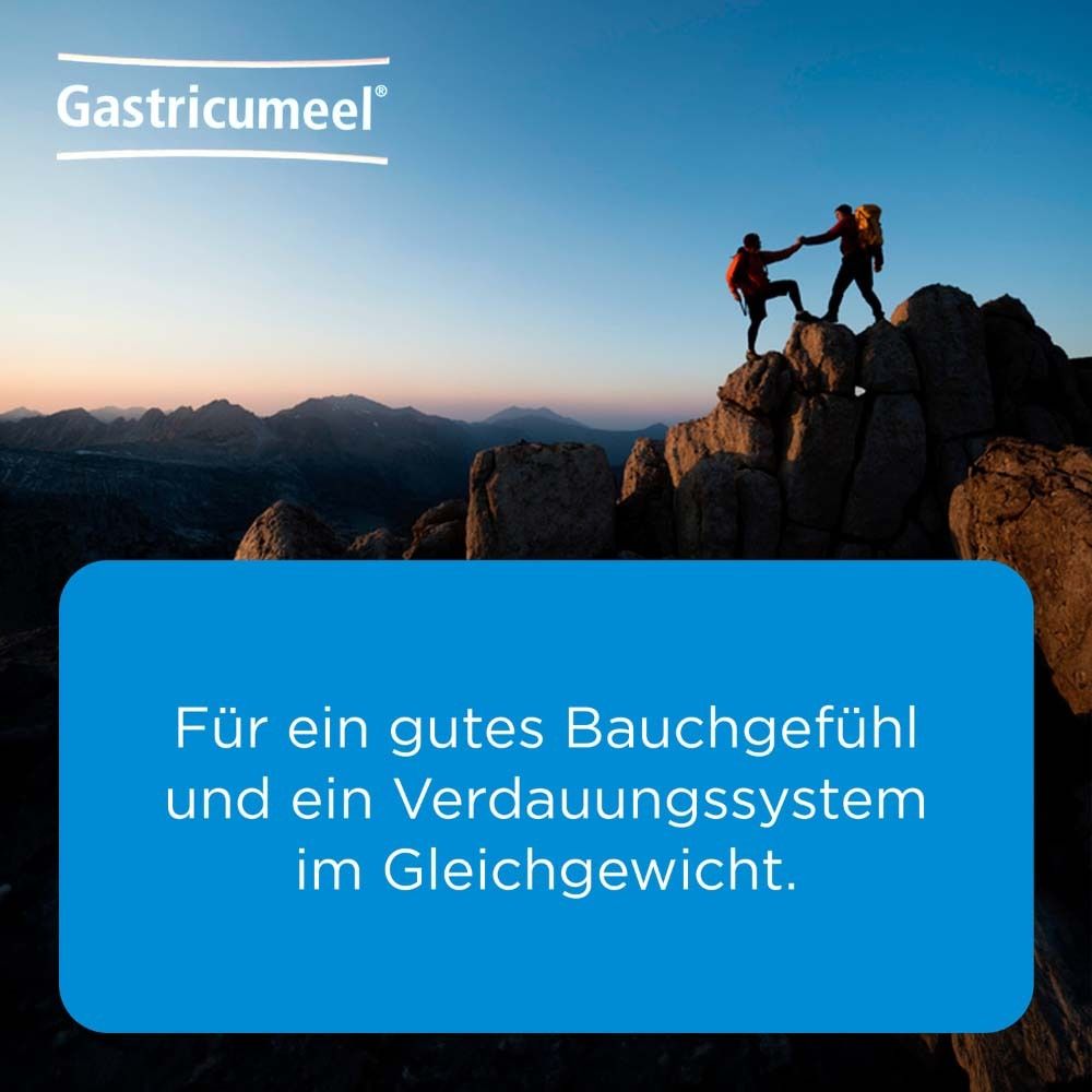 Zwei Personen auf Bergspitze. Blauer Hintergrund mit Text: Für ein gutes Bauchgefühl und Verdauungssystem.