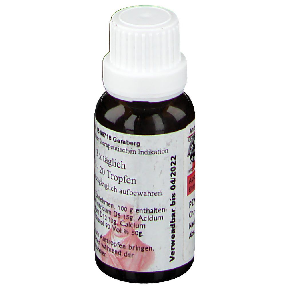 Echinacea Abwehrsteigerung Complex Tropfen