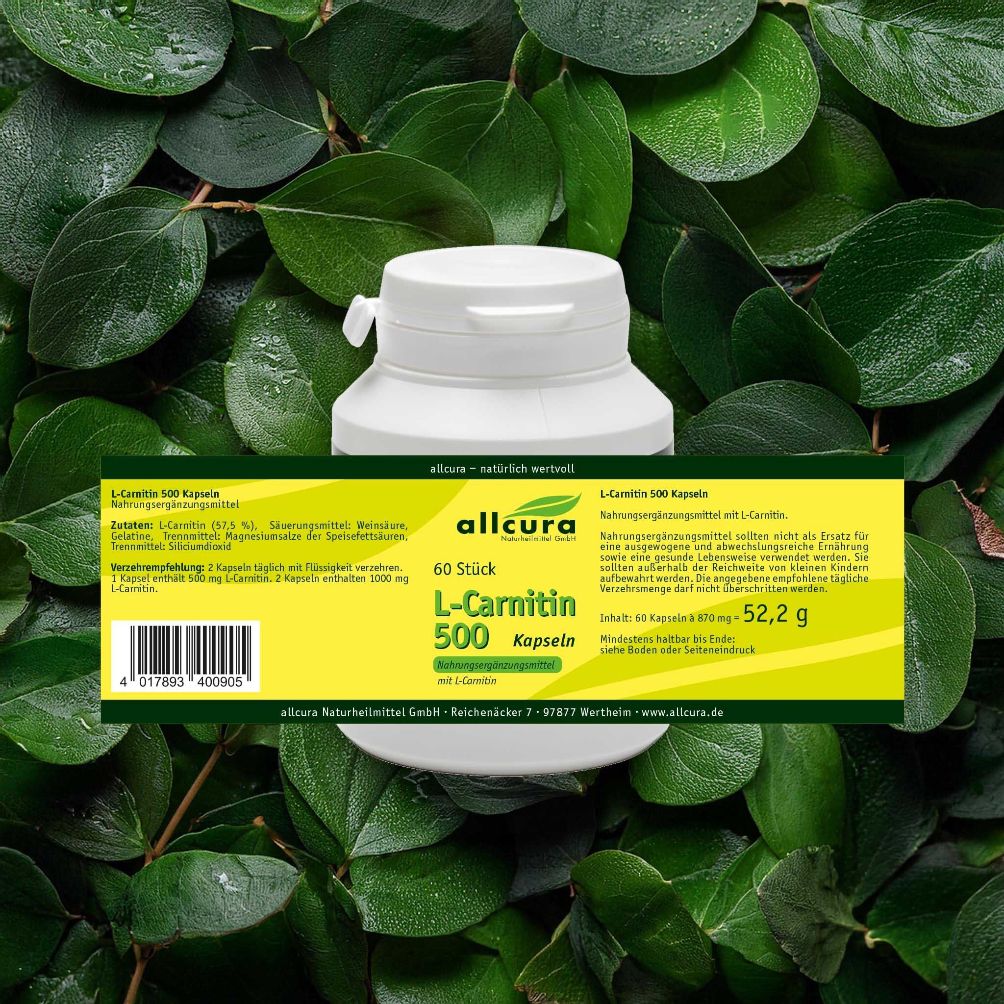 Produktverpackung mit gelbem Etikett auf Blättern. Aufschrift: L-Carnitin 500 Kapseln. Marke: allcura.