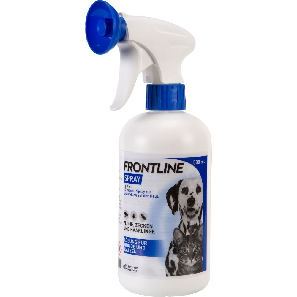 Frontline spray katze