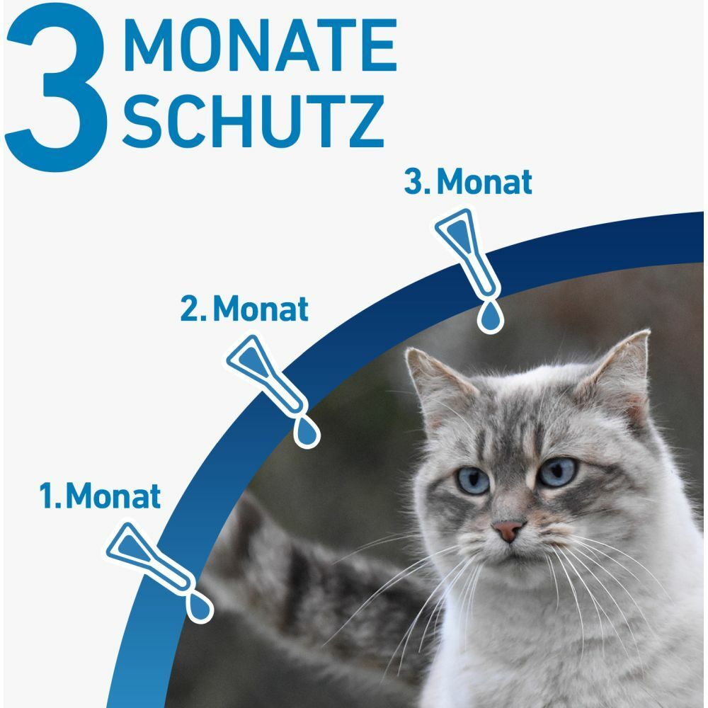 FRONTLINE® SPOT ON Katze gegen Zecken und Flöhe