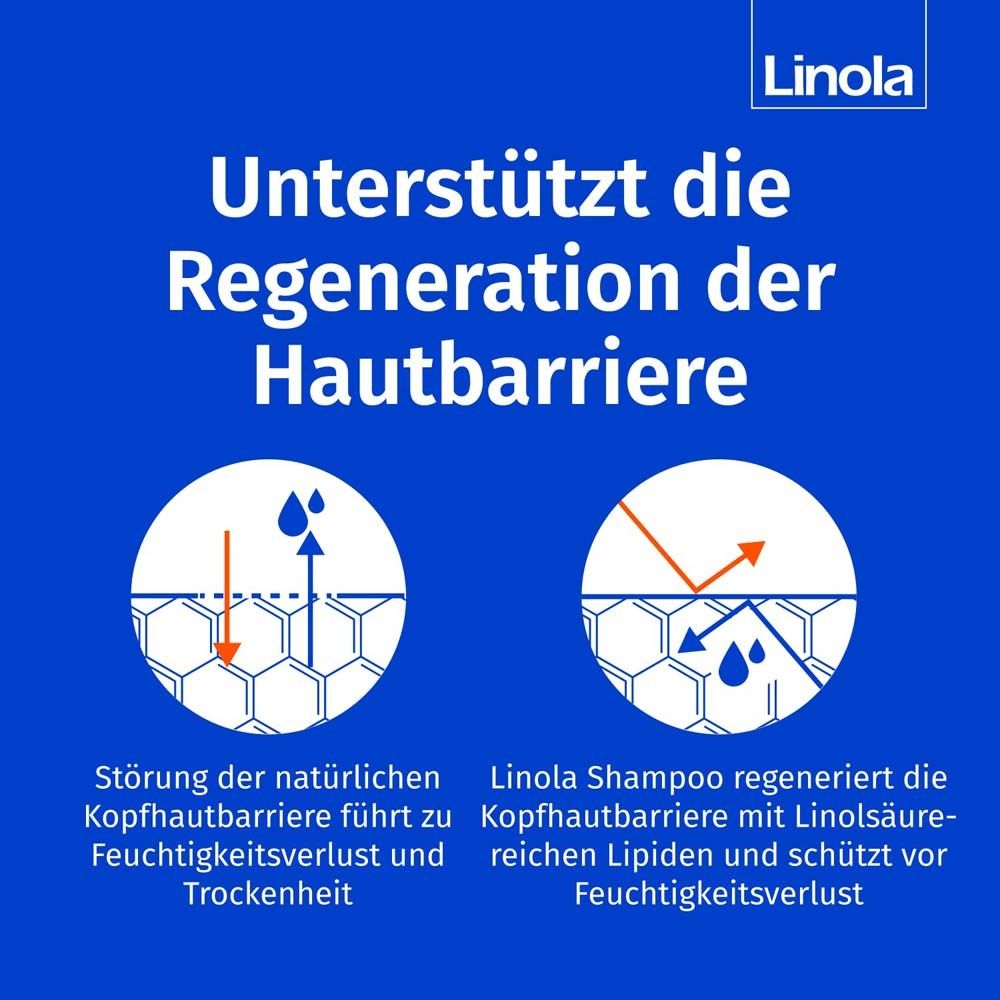 Grafik zeigt die Regeneration der Hautbarriere. Linola Shampoo regeneriert die Hautbarriere mit Linolsäuren. Feuchtigkeitsverlust.