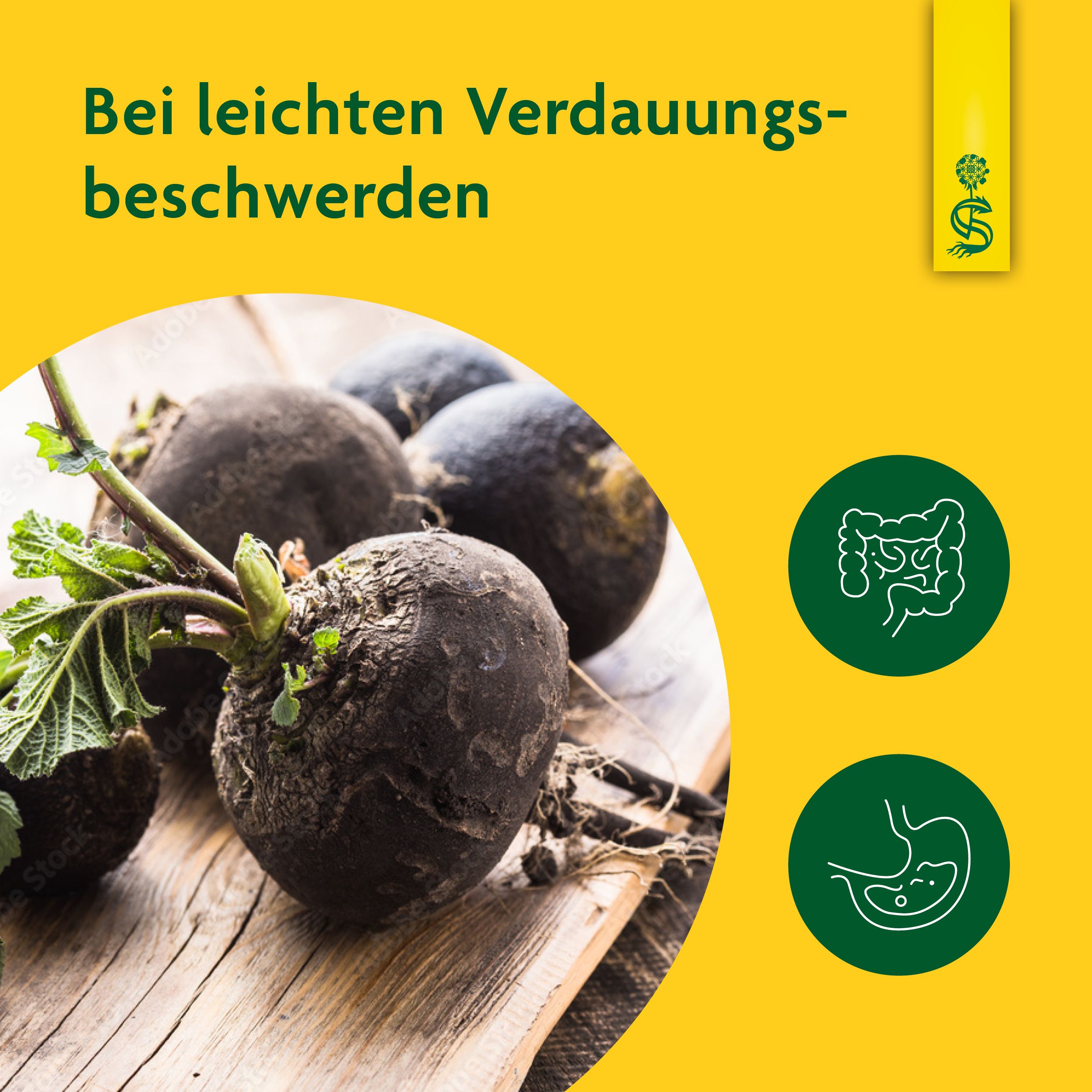 Schoenenberger® naturreiner Heilpflanzensaft Schwarzrettich