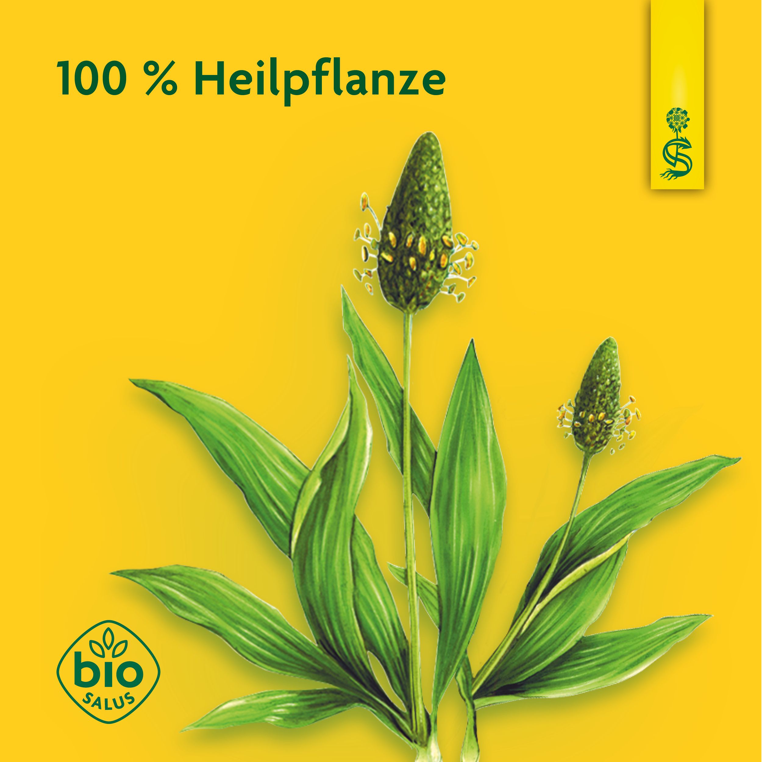 Schoenenberger® naturreiner Heilpflanzensaft Spitzwegerich