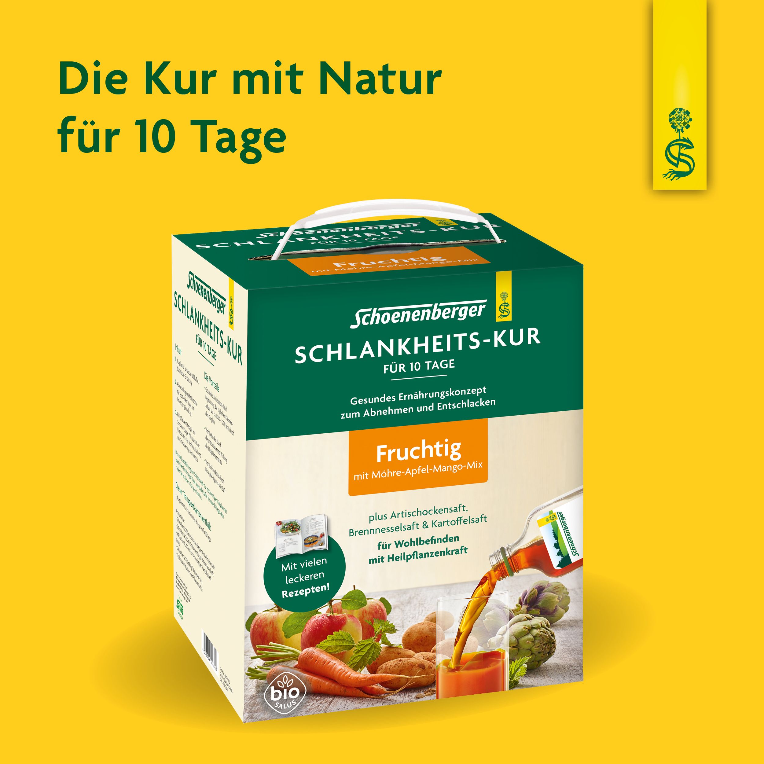 Schlankheitskur Fruchtige Schoenenberger 1 St Saft