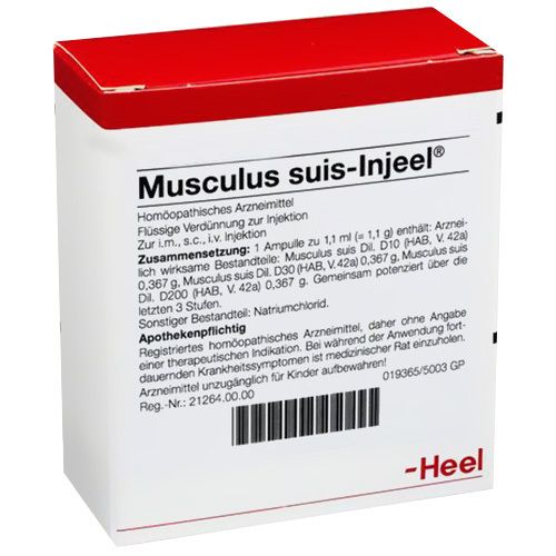 Musculus suis-Injeel® Ampullen
