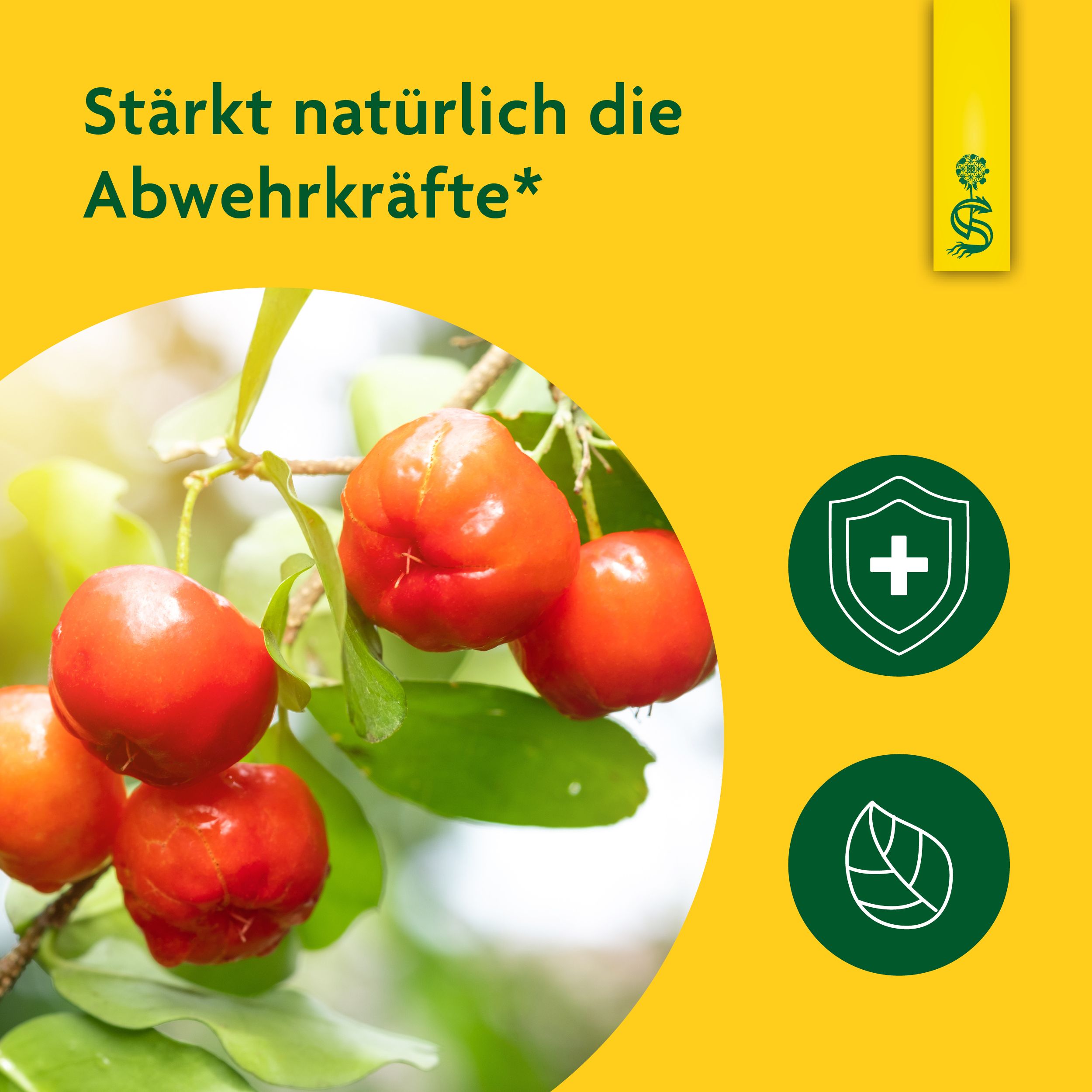 Schoenenberger® naturtrüber Fruchtsaft Acerola