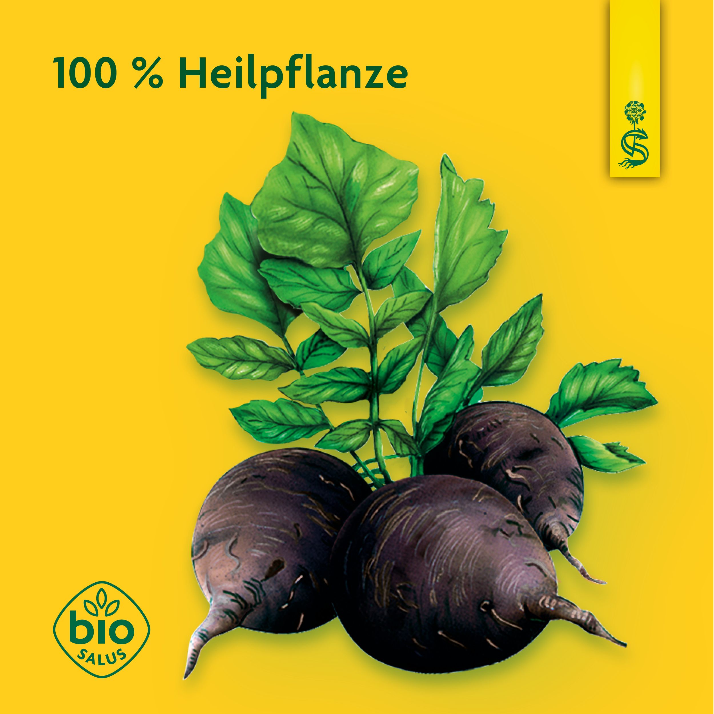 Schoenenberger® naturreiner Heilpflanzensaft Schwarzrettich