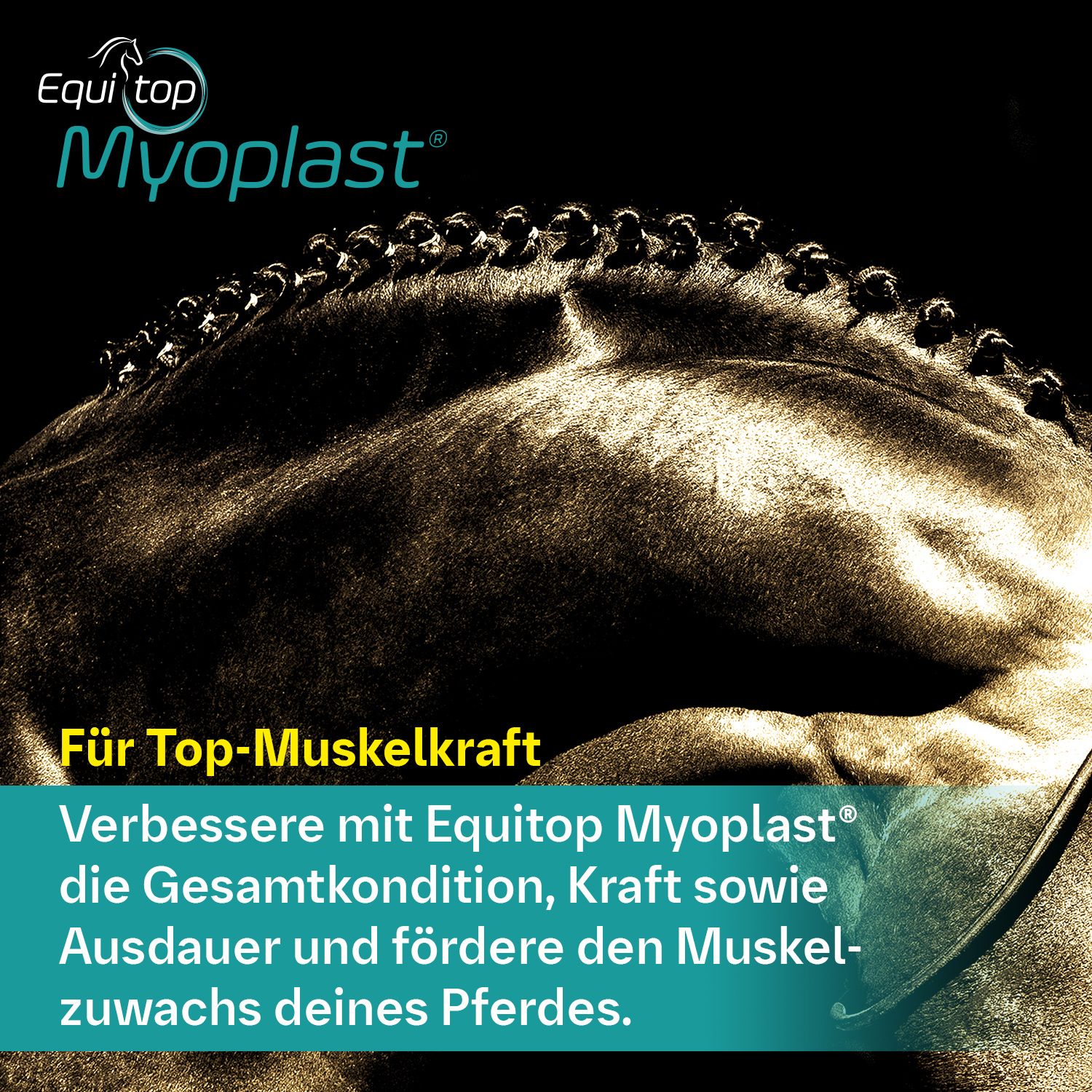 Equitop Myoplast Granulat vet. 1,5 kg