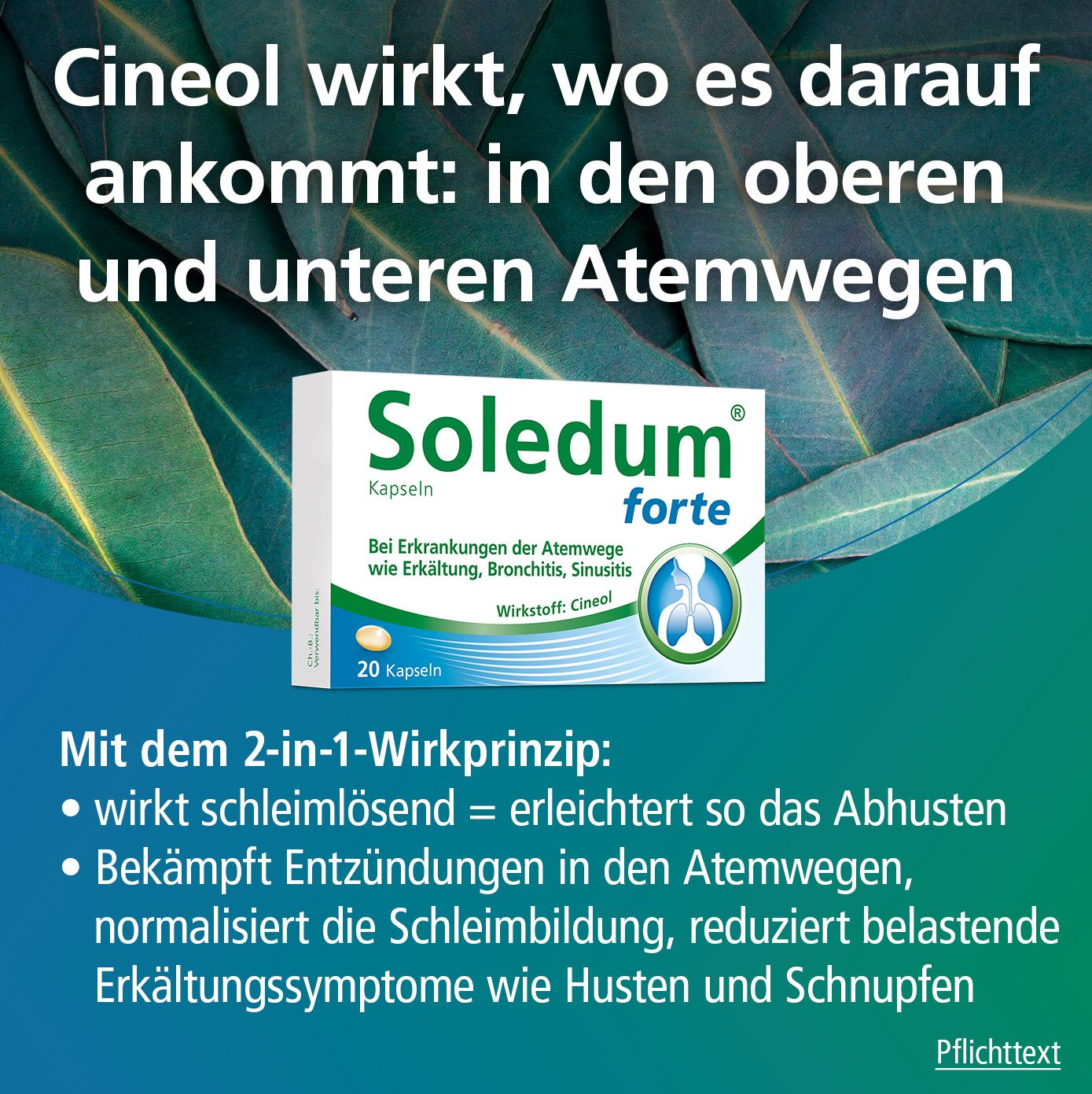 Soledum® forte  Kapseln bei Erkältung, Bronchitis & Sinusitis