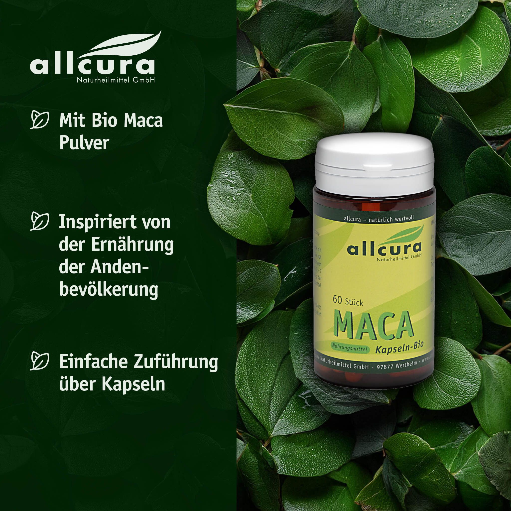 Braune Dose mit weißem Deckel, umgeben von Blättern. Text: allcura, Mit Bio Maca Pulver, 60 Stück, MACA.