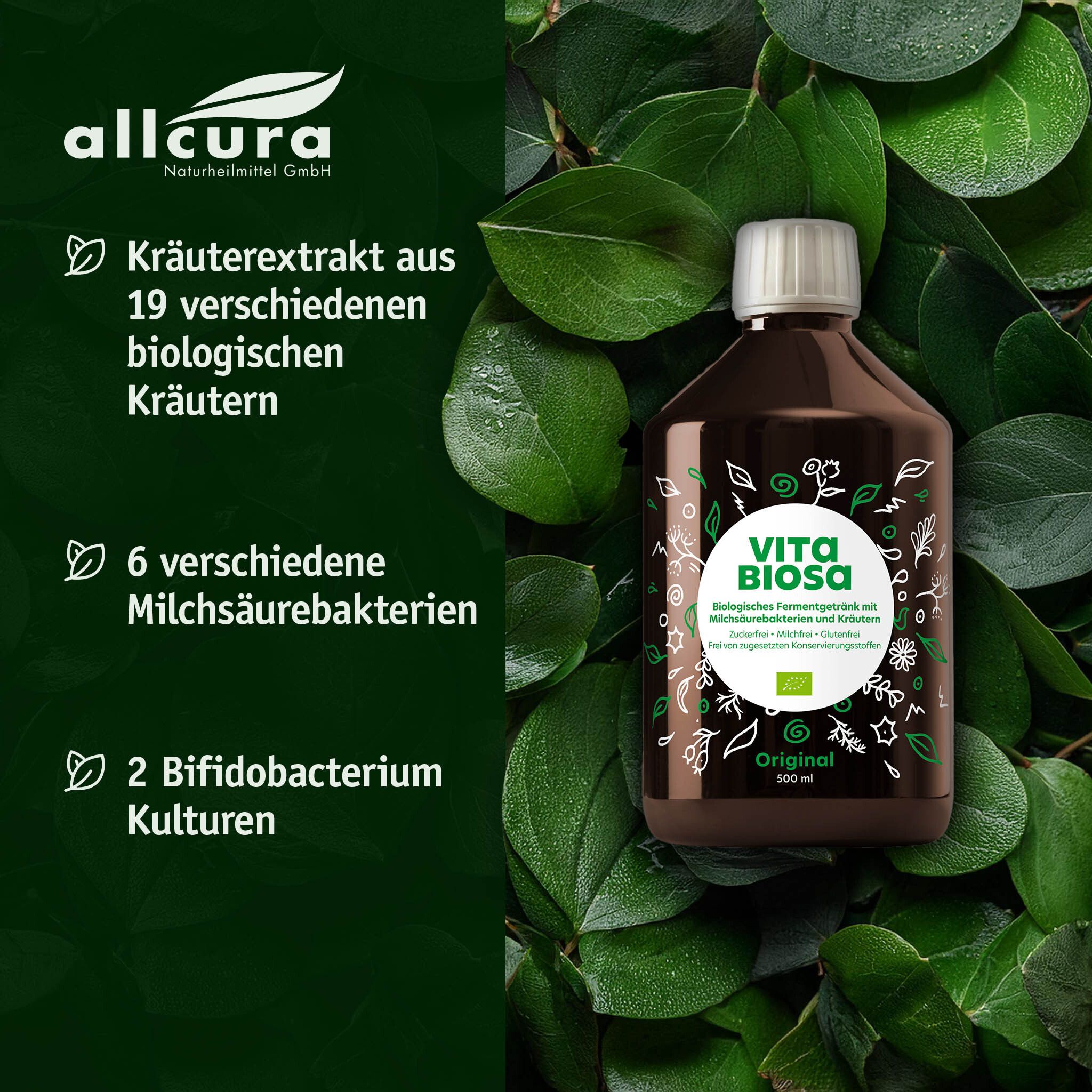 Flasche Vita Biosa vor grünem Hintergrund. Text: Kräuterextrakt, 19 Kräuter, 6 Milchsäurebakterien, 2 Bifidobakterium Kulturen.