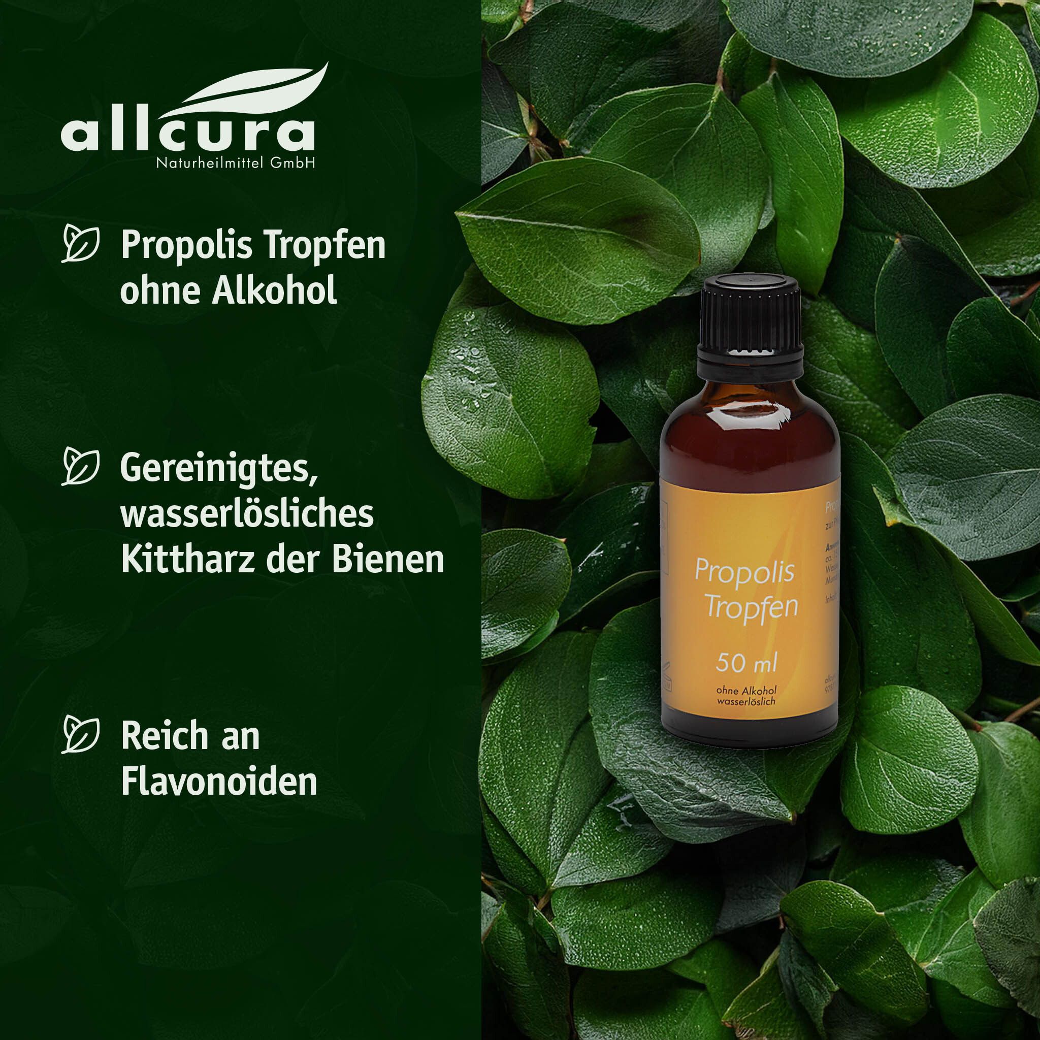 Flasche Propolis Tropfen ohne Alkohol, umgeben von Blättern. Text: allcura, Propolis Tropfen, gereinigt, reich an Flavonoiden.
