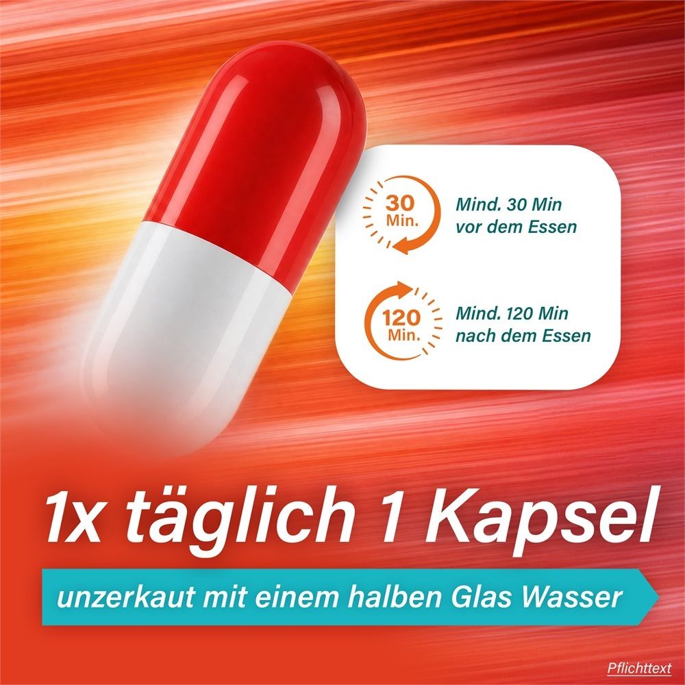 Eine Kapsel mit Hinweisen zur Einnahme: 1x täglich, 30 Min. vor dem Essen oder 120 Min. nach dem Essen.