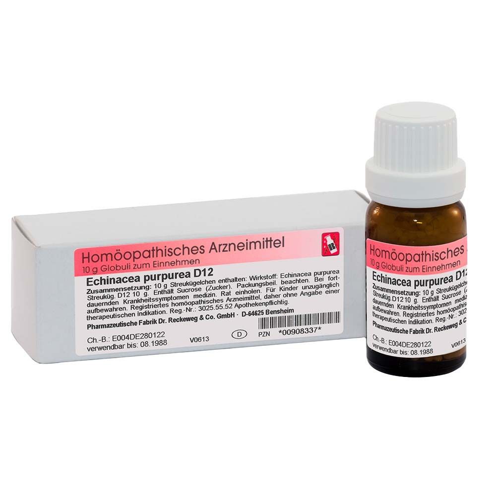 Homöopathisches Arzneimittel. Flasche und Schachtel mit Produktinformationen. Echinacea purpurea D12 Globuli.