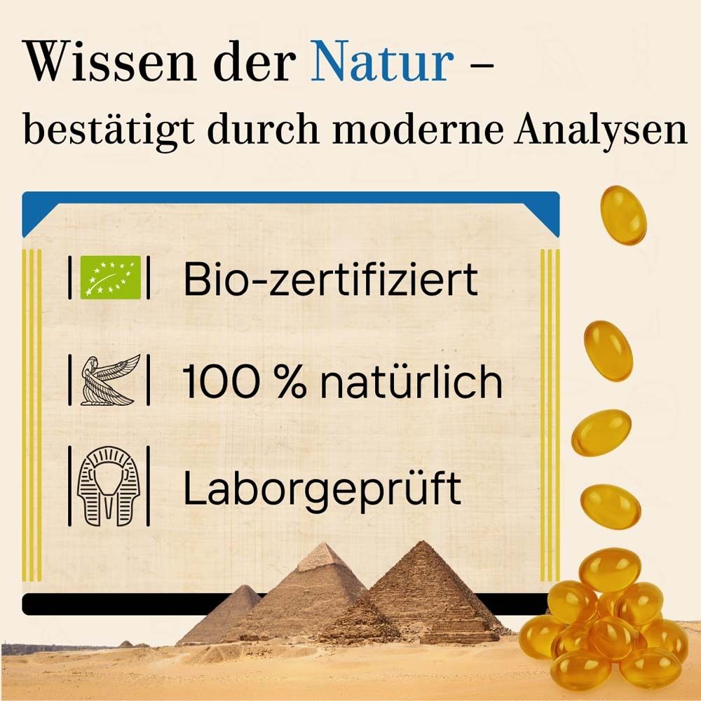 Grafik mit gelben Kapseln. Text: Wissen der Natur. Bio-zertifiziert, 100% natürlich, laborgeprüft. Pyramiden im Hintergrund.