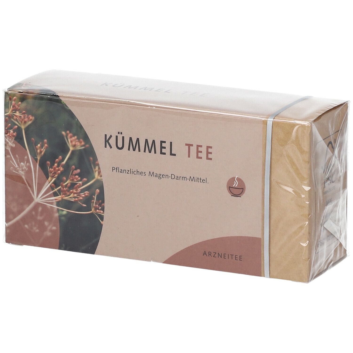 Kümmel Tee Filterbeutel