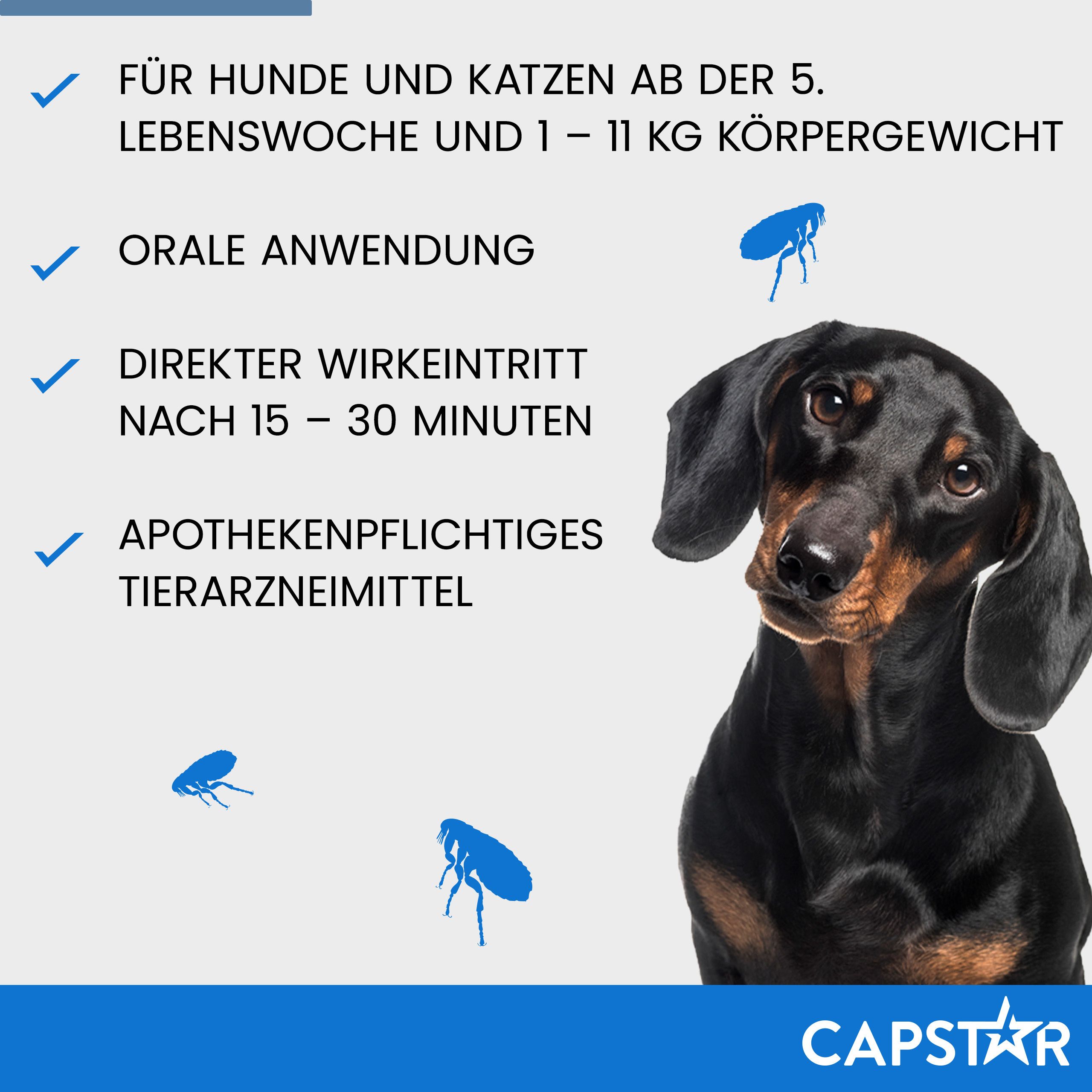 Infografik: Geeignet für Hunde und Katzen ab der 5. Lebenswoche und 1-11 kg Körpergewicht. Orale Anwendung.