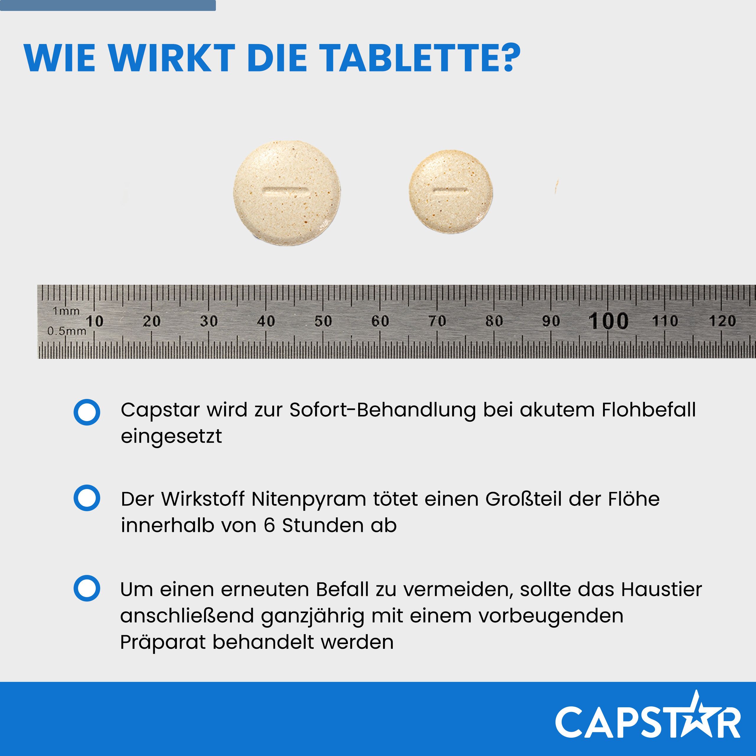 Infografik: Wie die Tablette wirkt. Zwei Tabletten neben einem Lineal. Text: Wirkstoff Nitenpyram tötet Flöhe innerhalb von 6 Stunden ab.