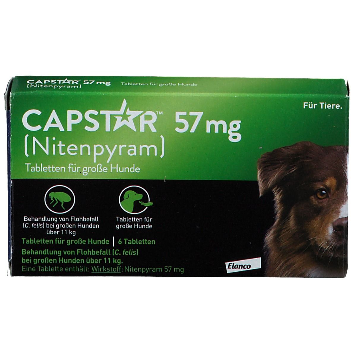 Capstar® 57 mg gegen Flohbefall bei großen Hunden