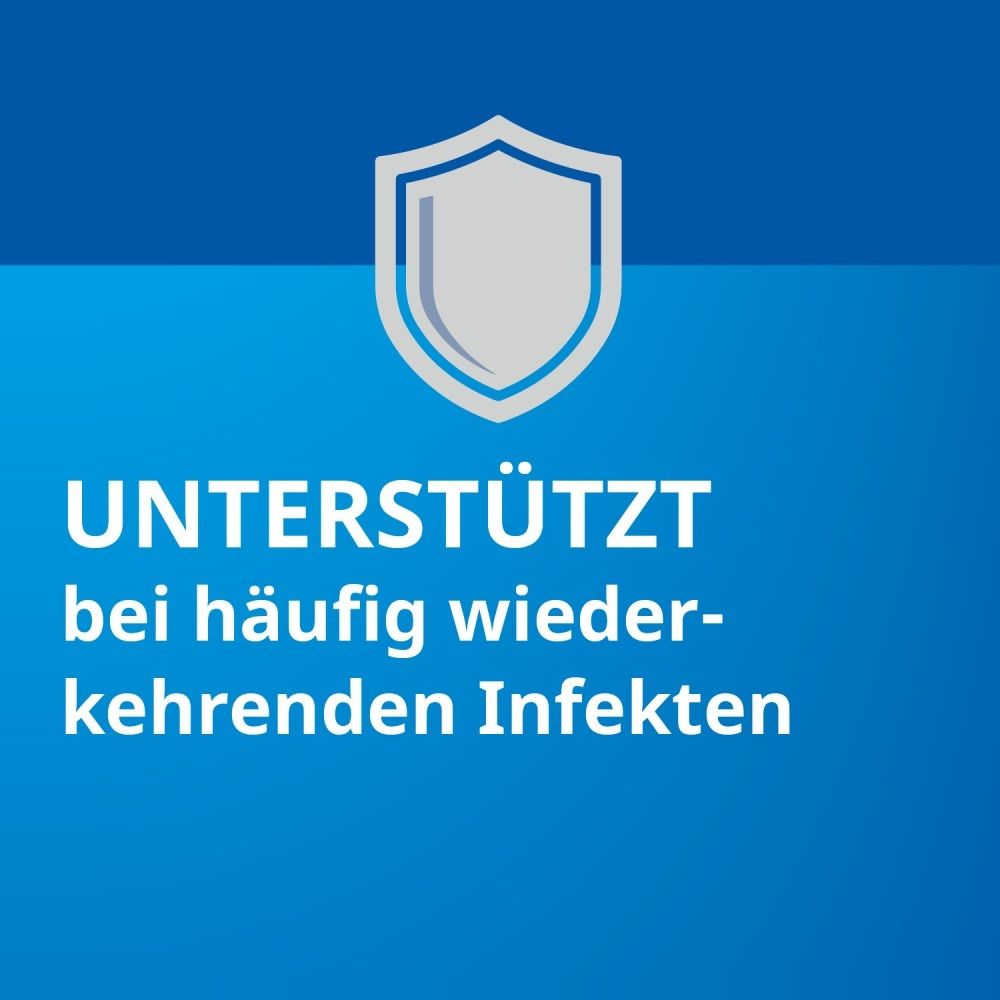 Schild-Symbol zur Unterstützung bei Infekten.