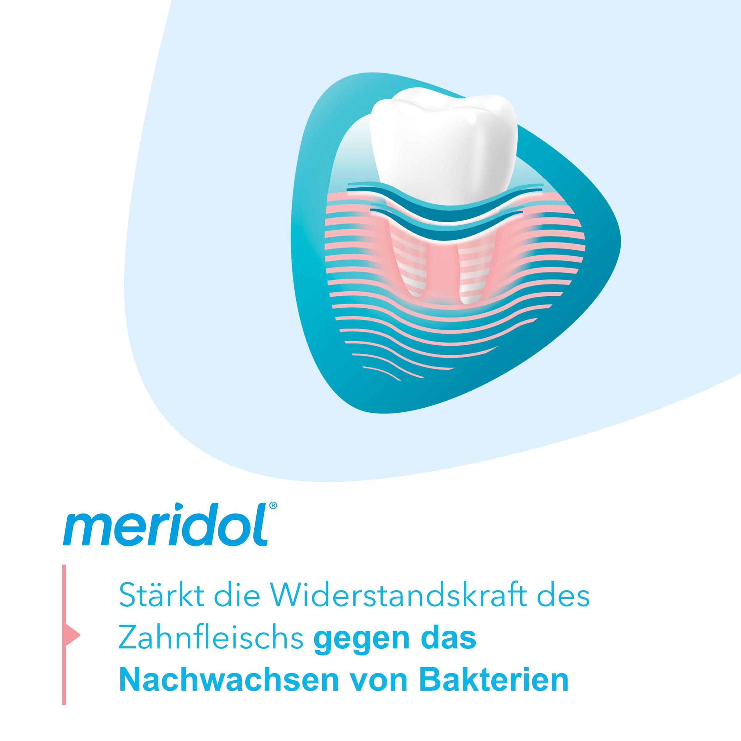 meridol Zahnfleischschutz antibakterielle Mundspülung